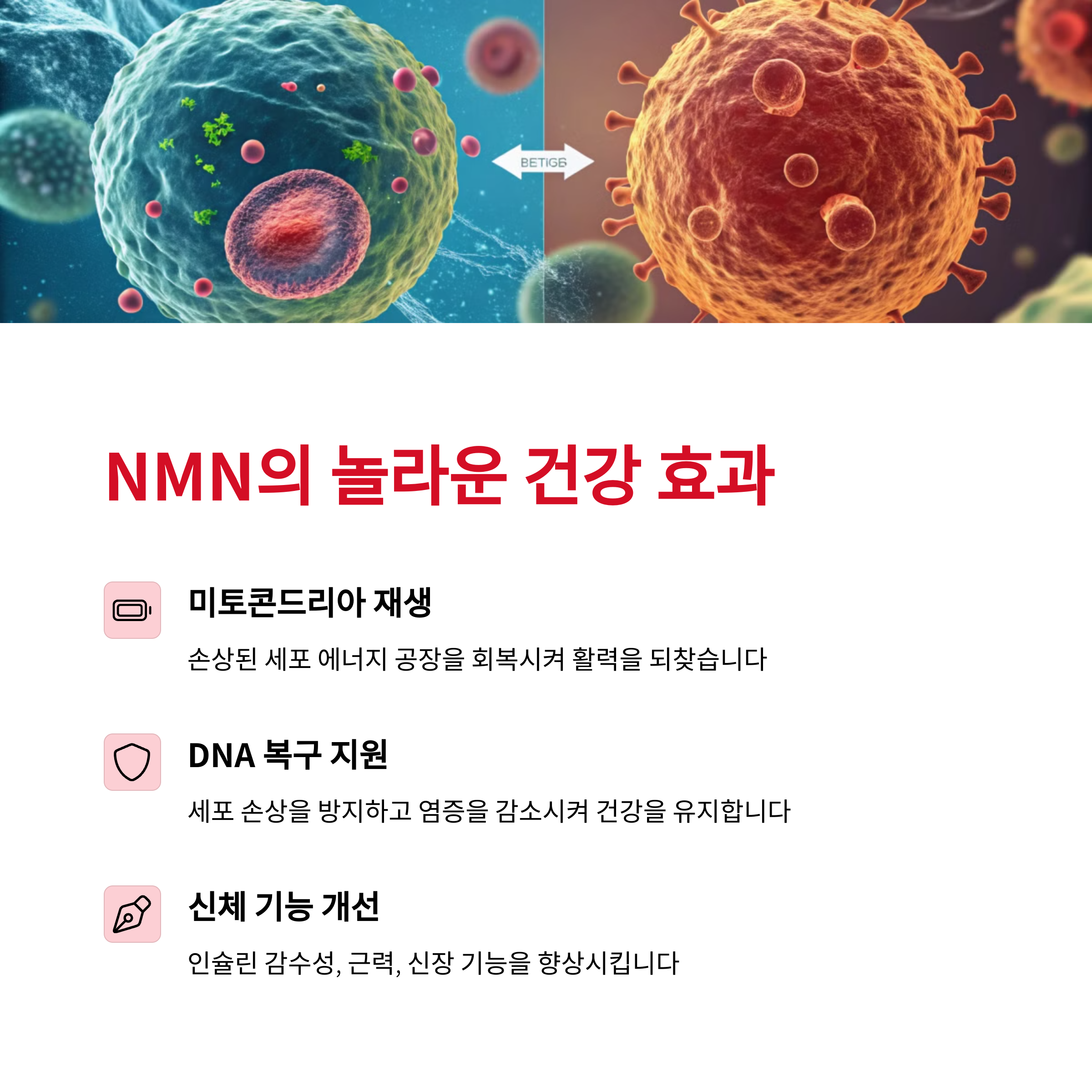 NMN, NAD+,