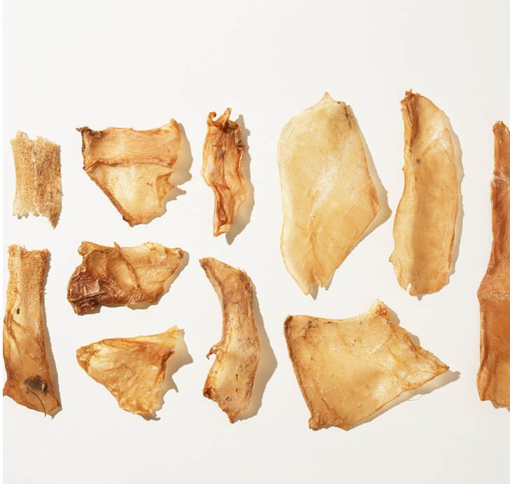 미국 FDA 승인 반려동물 의약품 가이드