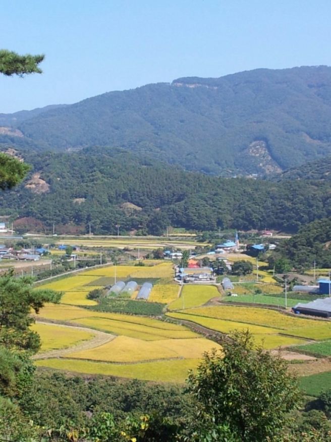 공익직불금 신청