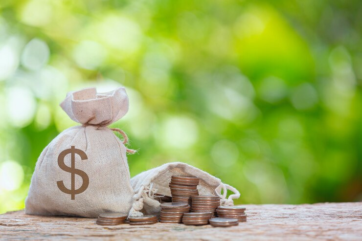 기초연금과 노령연금 차이