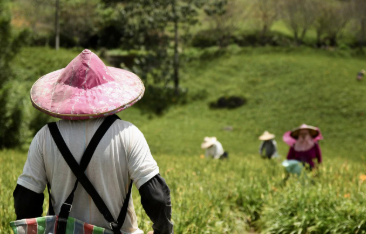 2025 후계농업경영인 지원사업