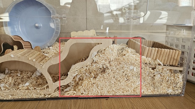 골든햄스터 바닥재 깊이 15cm 이상 유지, 실제 굴파기 사진