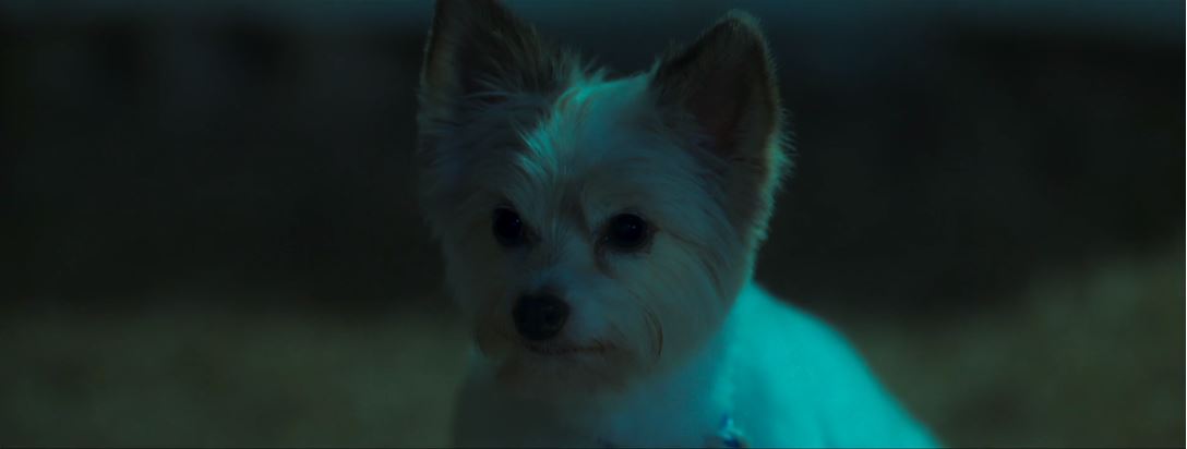 오늘도사랑스럽개_6회