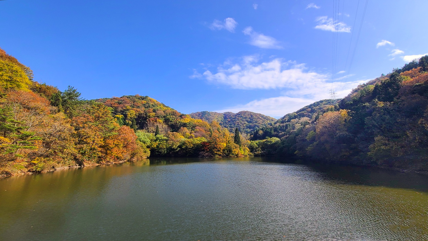 화순 세량지