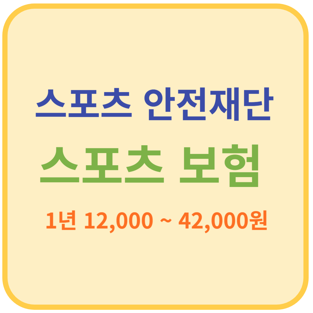 스포츠 보험