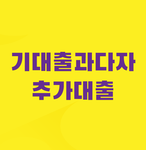 기대출과다자-대출