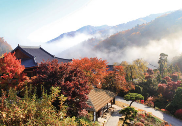 아침고요 수목원