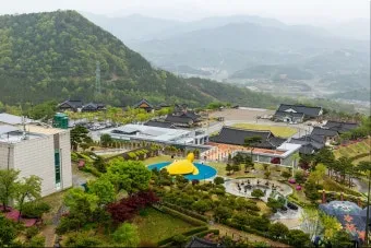 동의보감촌 꽃양귀비 축제 개화 시기와 볼거리_2