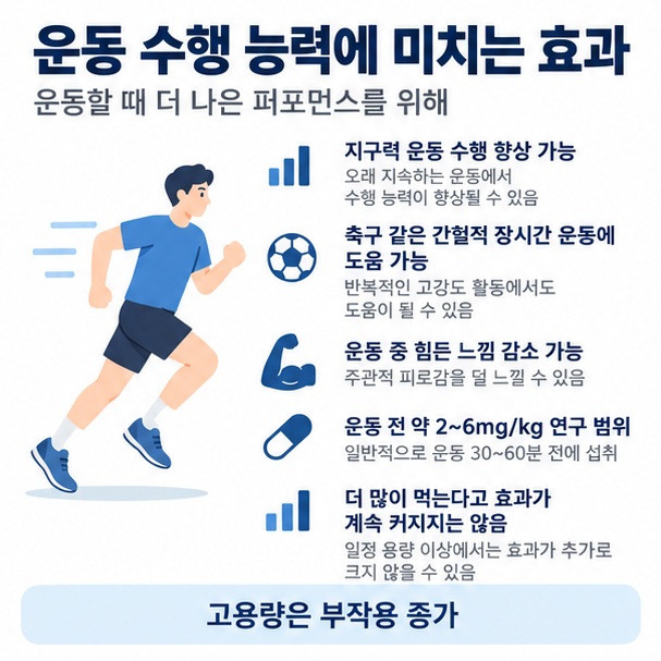 카페인이 지구력 운동과 간헐적 장시간 운동의 수행에 도움을 줄 수 있지만 과다섭취 시 두근거림 불안 불면이 생길 수 있음을 설명한 이미지