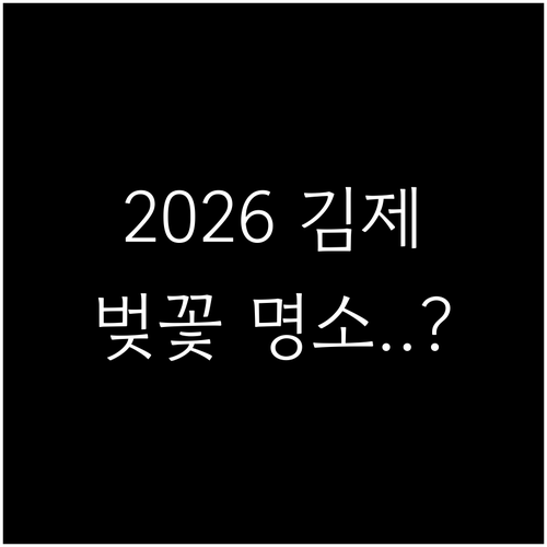 2026 김제 벚꽃 축제 일정 및 장..
