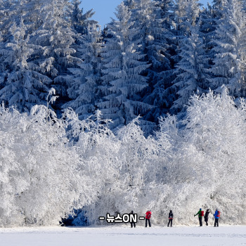 1월에 가볼만한 국내 여행지 