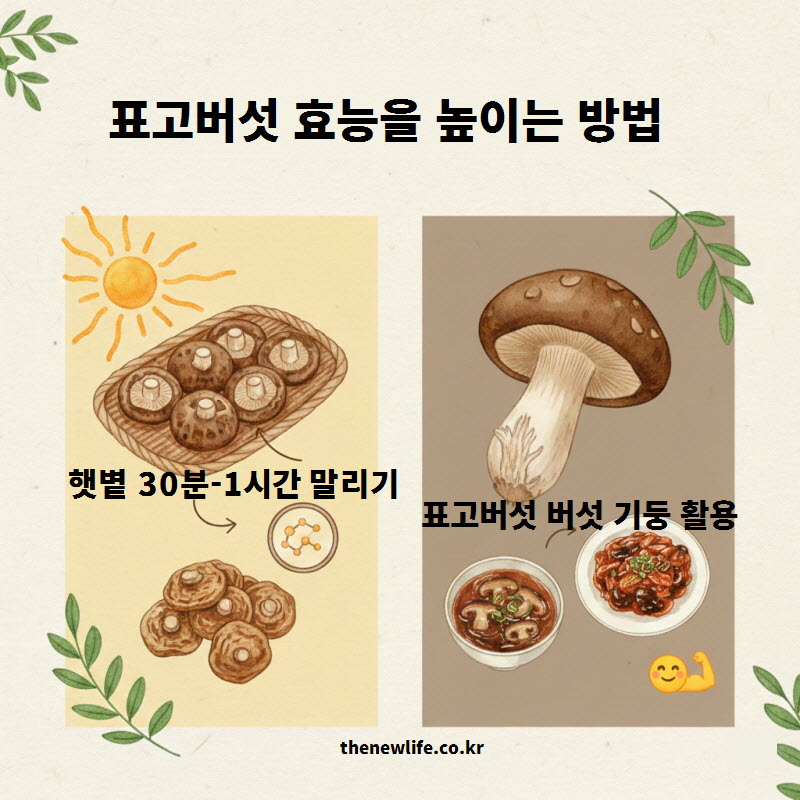 햇볕에 말려 표고버섯 효능 높이는 방법