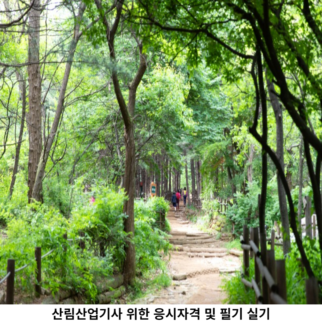 산림산업기사 필기 시험