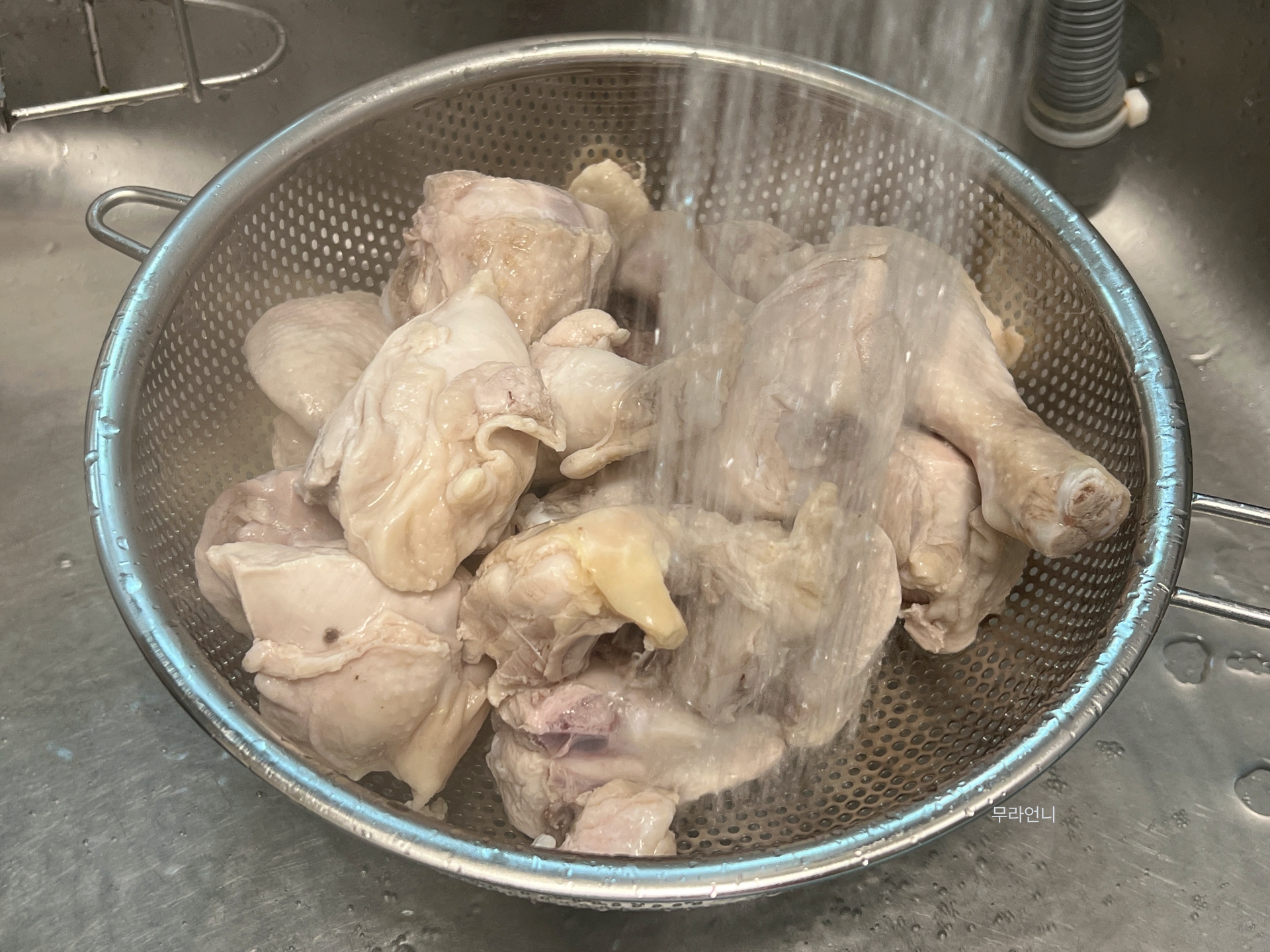 흐르는 물에 닭 씻어주기