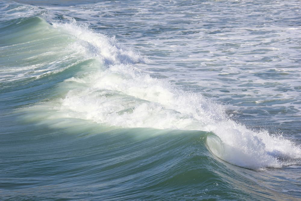 일본 동북 지방 수십만 명 대피 메시지