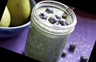 자일로 올리고당 분말 효능 가격