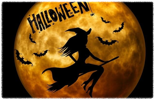 전국 할로윈 행사 정보 2025 ❘ 지금 떠나기 좋은 핫플레이스 총정리