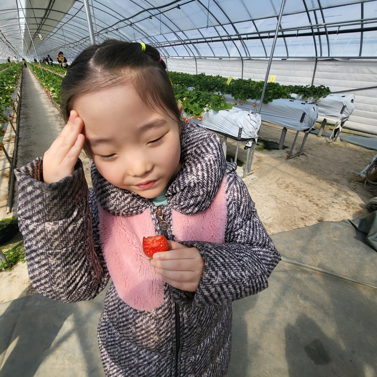 청주 딸기 체험&amp;#44; 딸기 케이크 만들기 (가산딸기 강추!!)