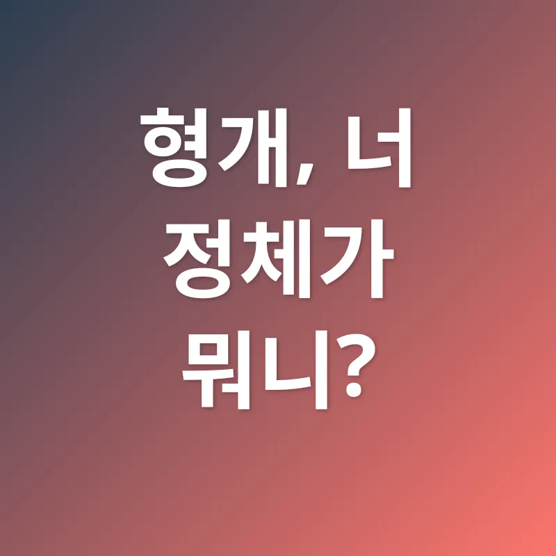형개 효능_1