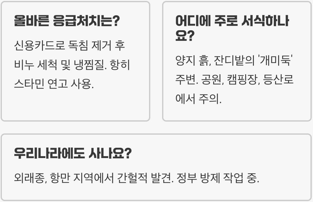 불개미 독, 얼마나 위험할까? 통증과 가려움의 모든 것