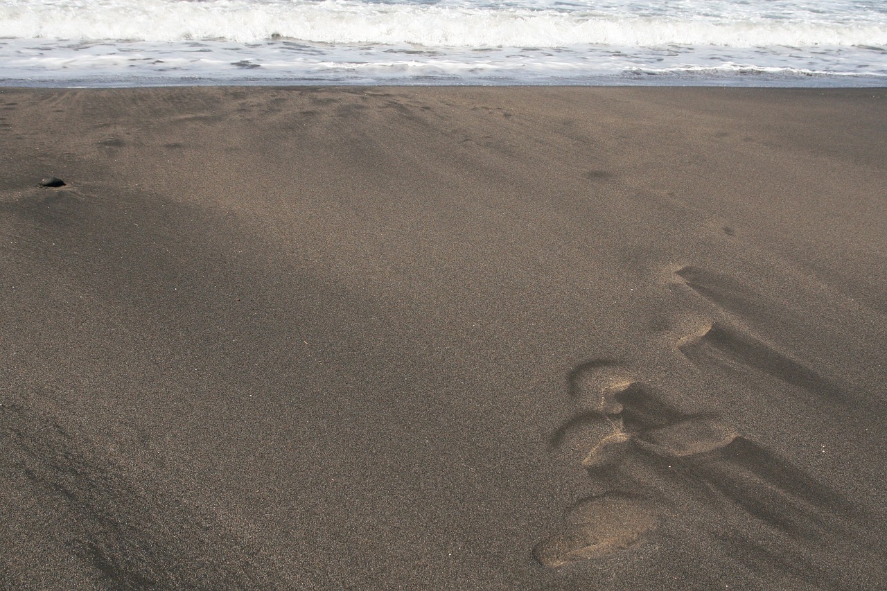 제주 모래해변 관련 사진