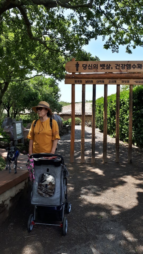 제주도 사투리가 인상적이었다