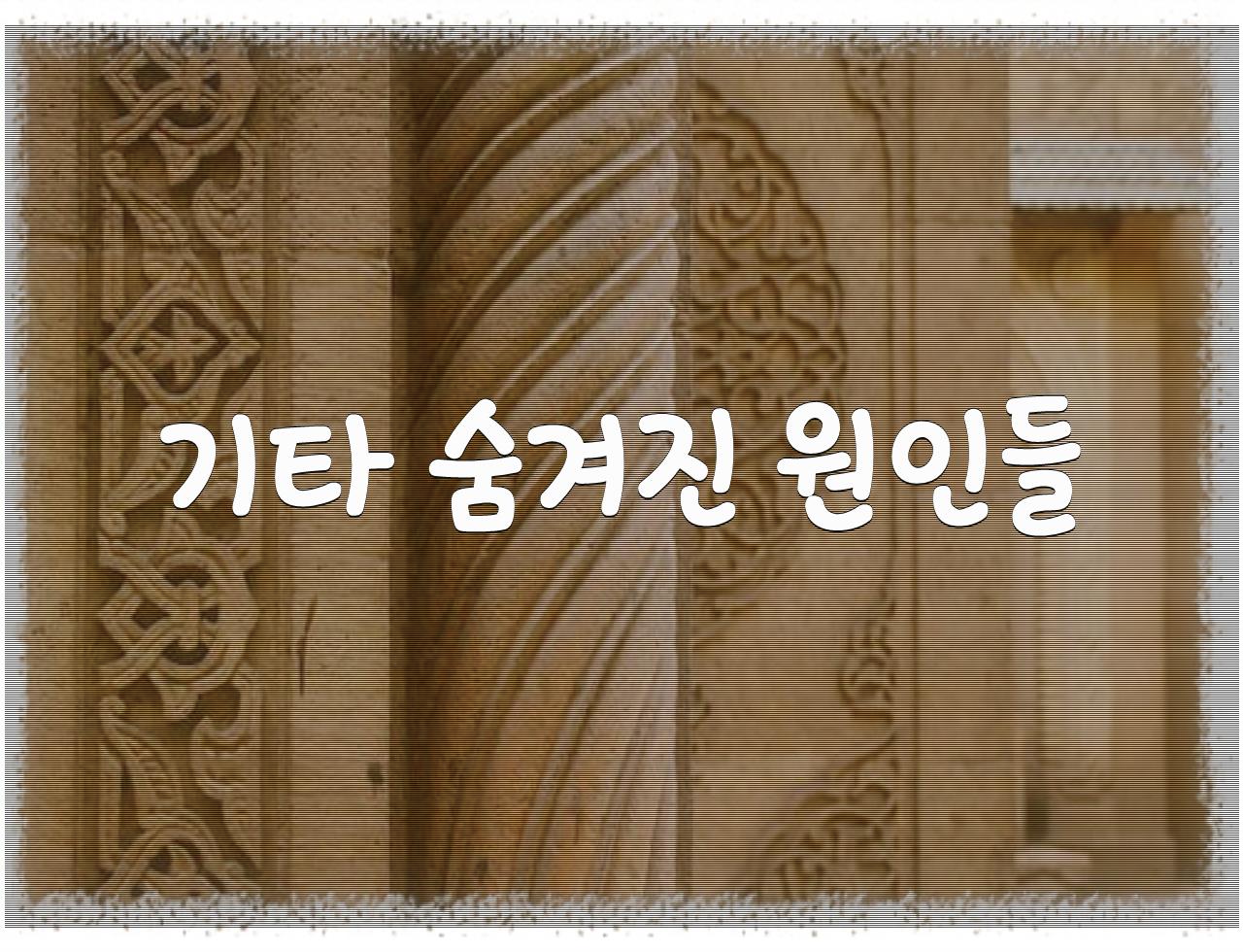 여성의 붉은 비밀: 갑작스러운 질 출혈의 원인과 치료  - 알아보자 :: 여성의 붉은 비밀: 갑작스러운 질 출혈의 원인과 치료 - 기타 숨겨진 원인들 