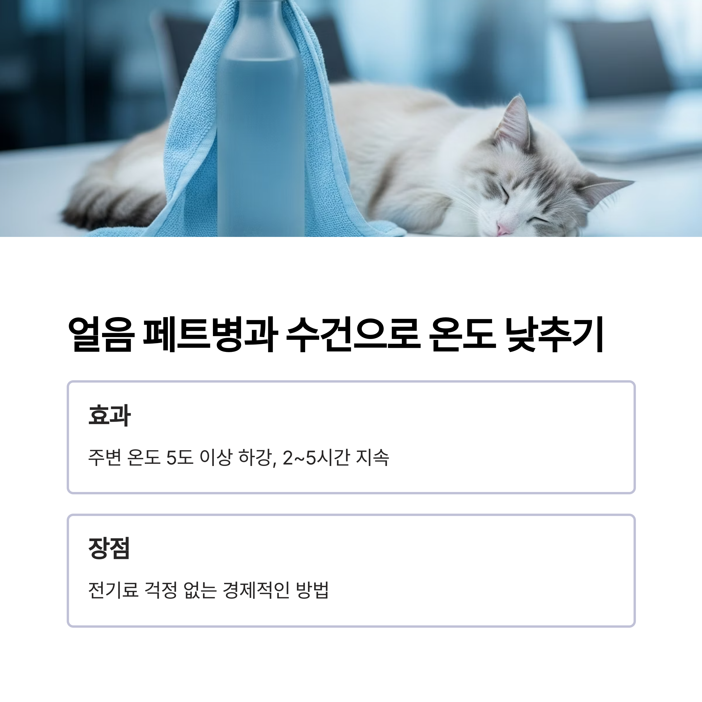 얼음 페트병과 수건으로 온도 낮추기