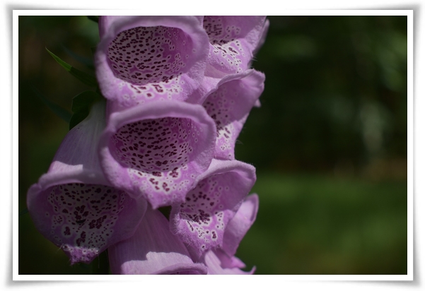 "8 체질" 나는 어떤 체질일까? 체질에 관한 정보를 알려드립니다!