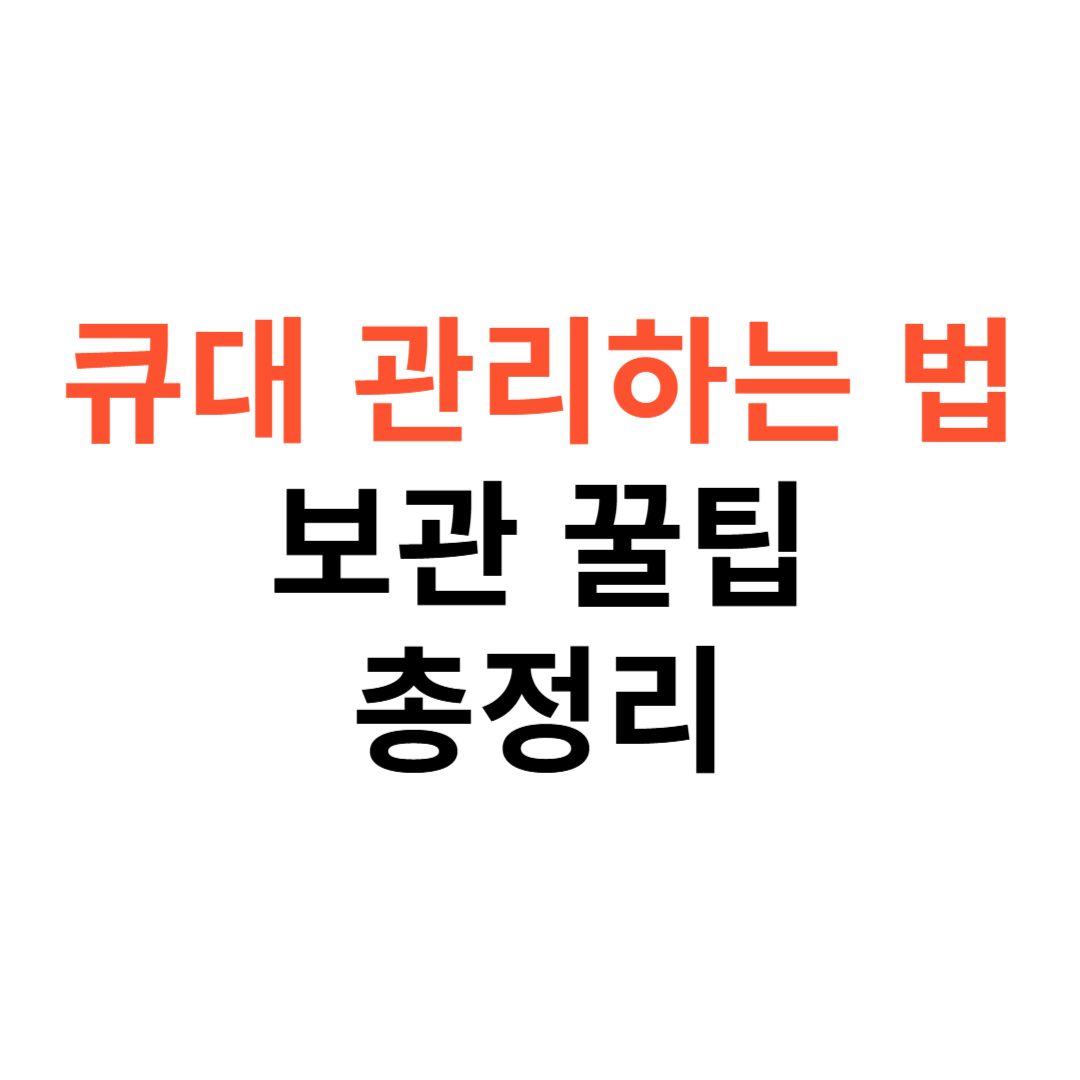 큐대 관리하는 법