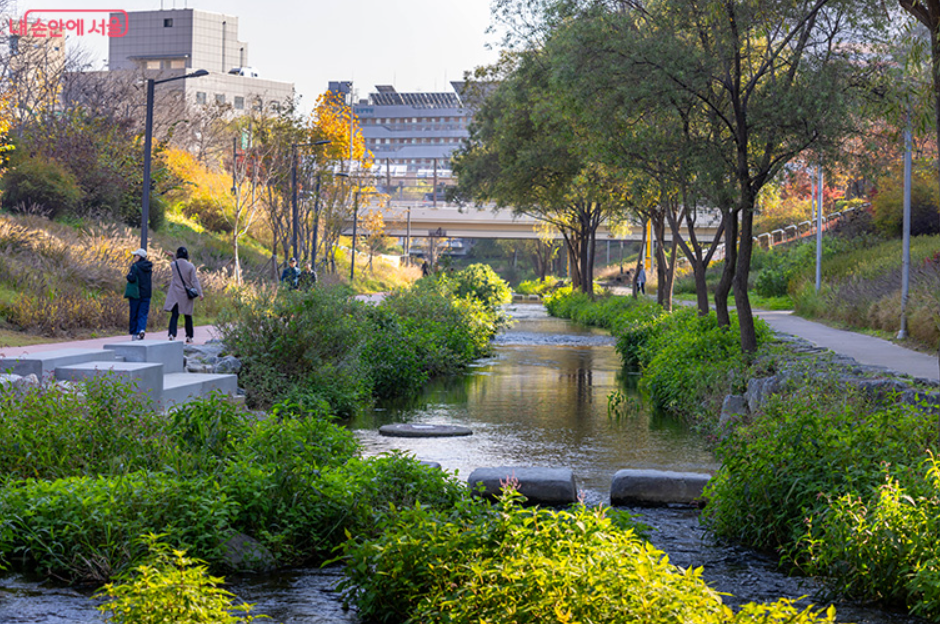 세곡천 수변활력거점