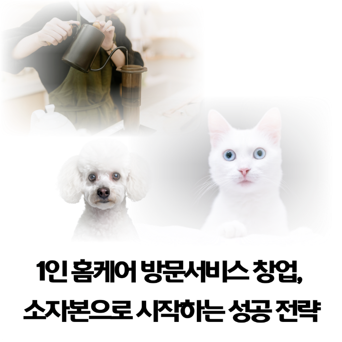 펫카페-인테리어-비용과-수익률