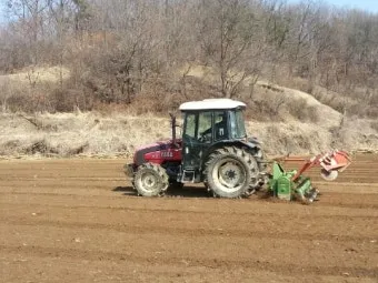 감자 재배 달력 파종 북주기 역병 관리 수확 및 저장_5