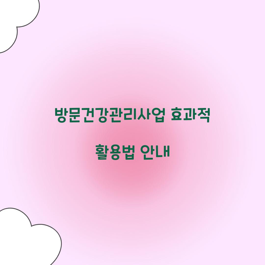 방문건강관리사업