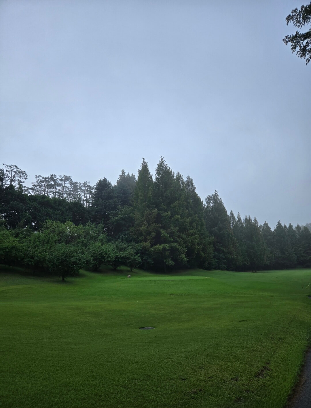 블루헤런CC 동코스 페어웨이