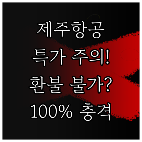 제주항공 특가 운임 취소 수수료 최대..