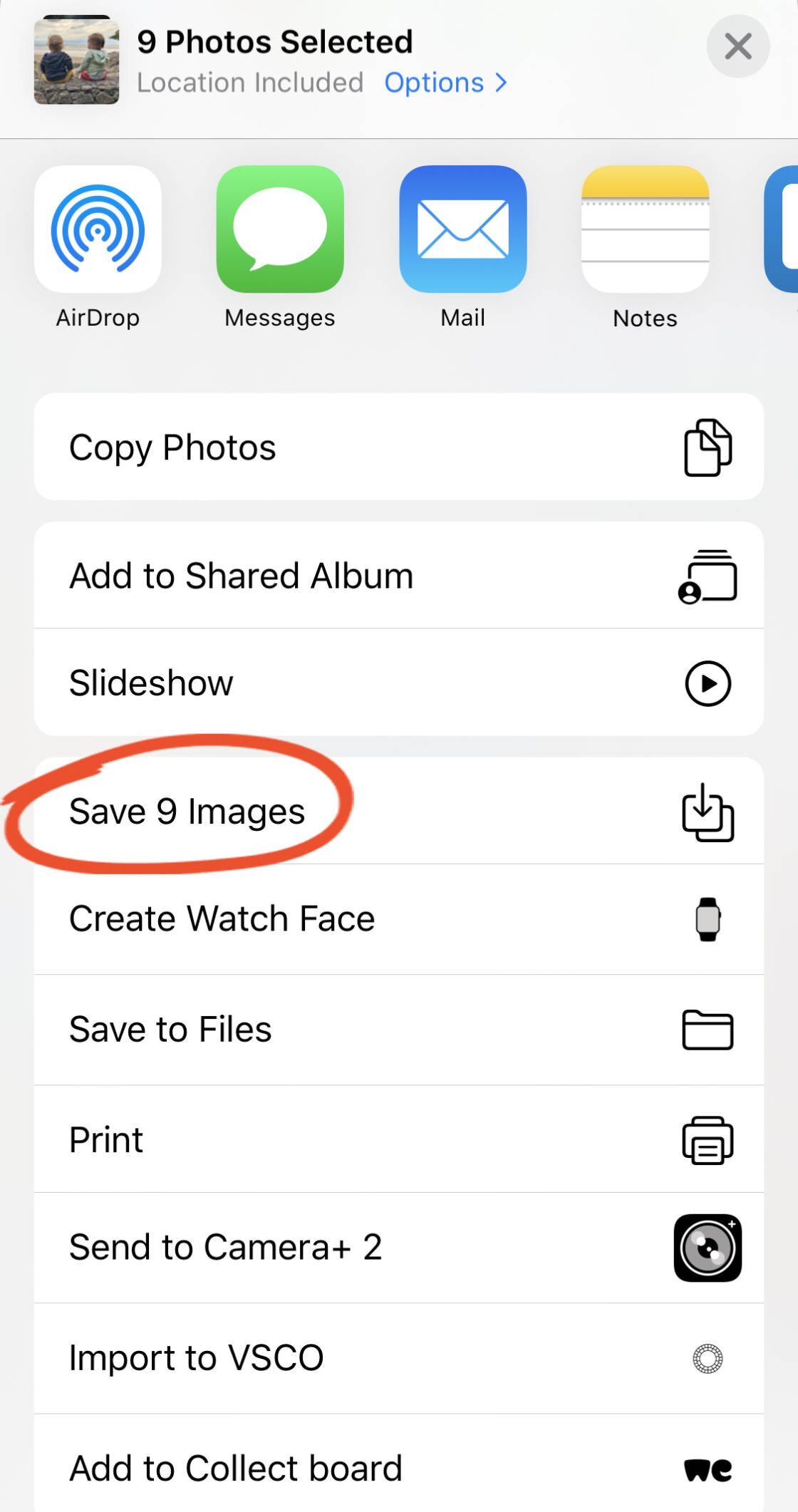 iCloud에서 iPhone, iPad 또는 컴퓨터로 사진을 다운로드하는 방법
