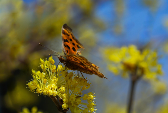 수학 교과서 모습