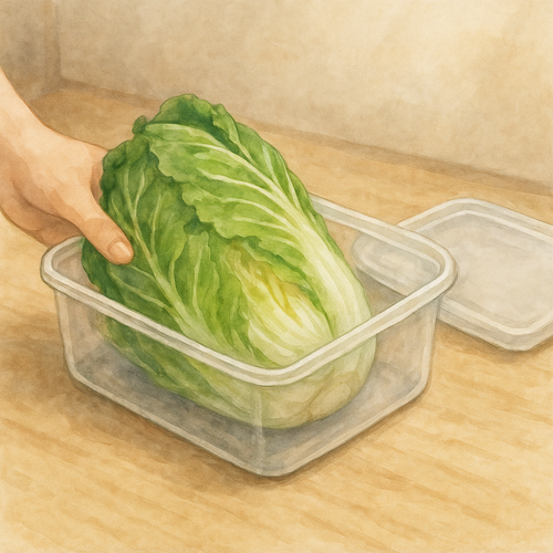 얼갈이배추-보관-팁