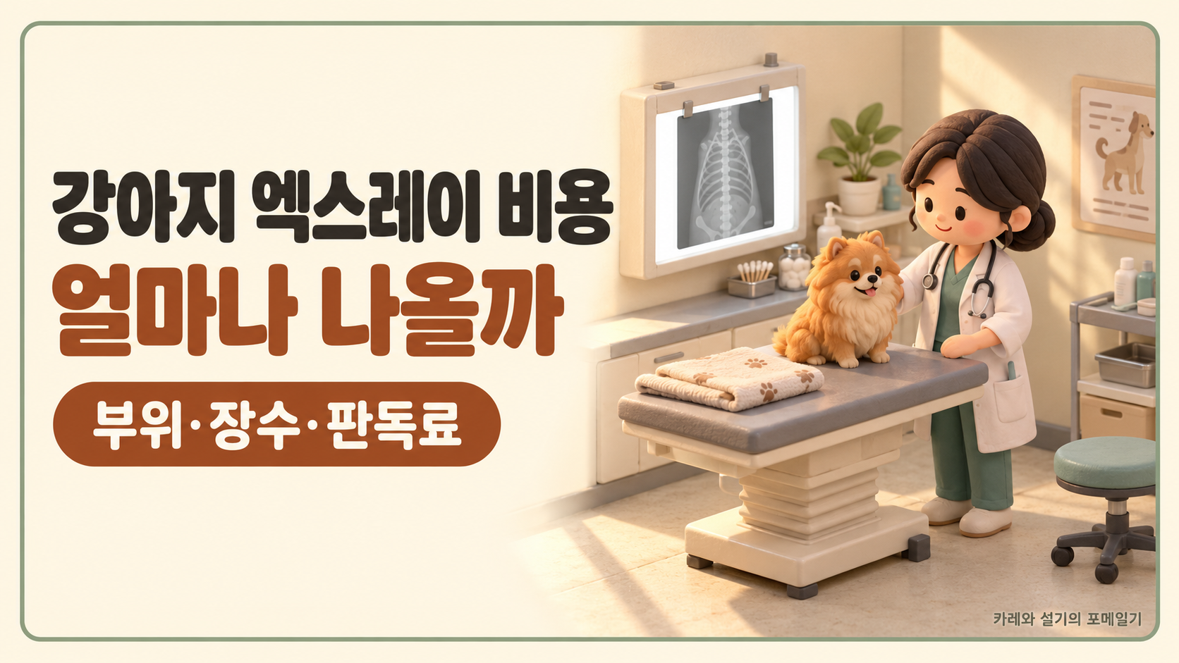 엑스레이 비용 대표