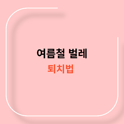 여름철 벌레 퇴치법11