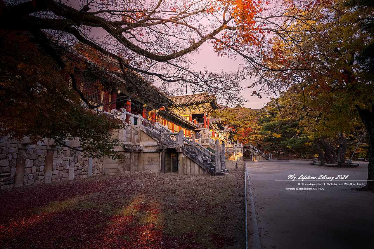 경주 불국사 단풍