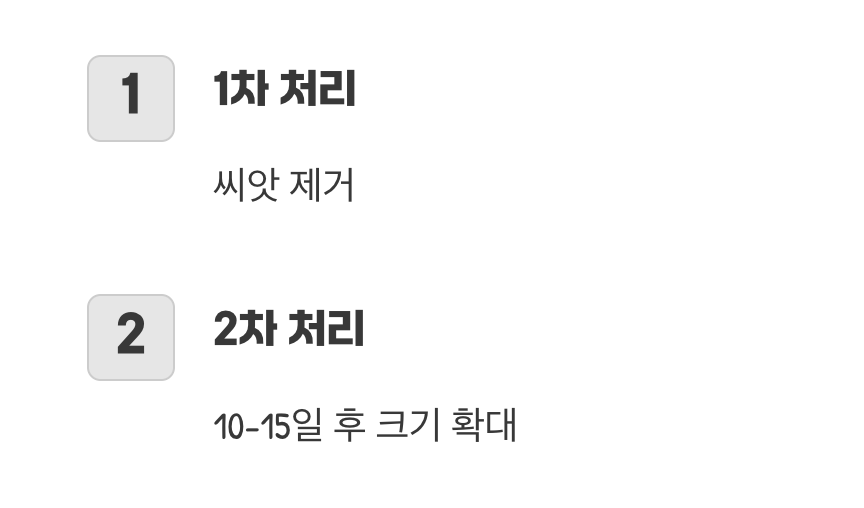 포도알을 키우는 두 번째 정성
