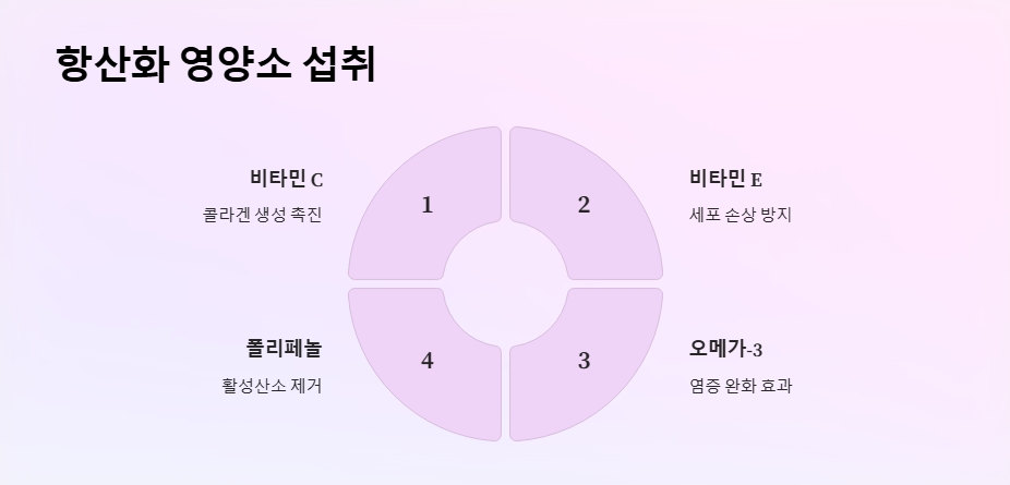 항산화 영양소 섭취