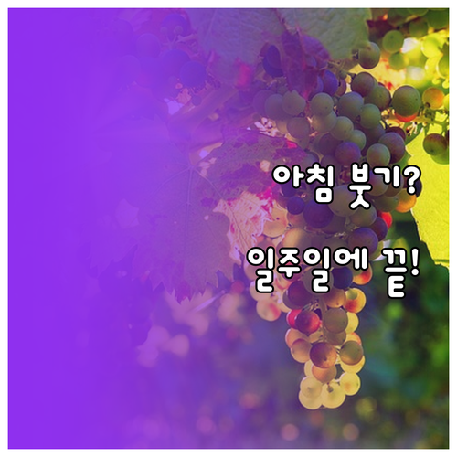 붓기 없는 얼굴을 위한 일주일 저염 ..