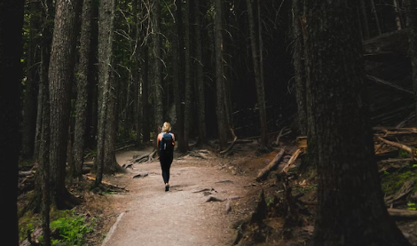 자연을 즐기는 것