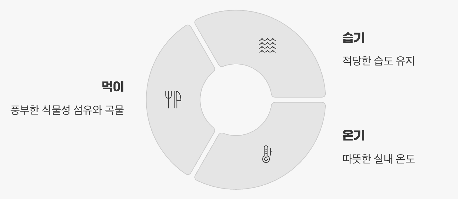 이들이 우리 집에 사는 이유