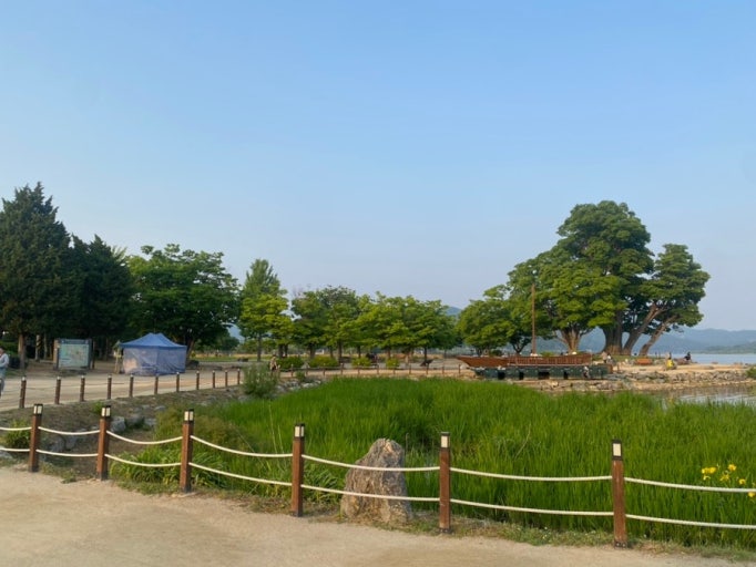 반려견과 가기 좋은 여행지 BEST10｜강아지와 편하게 떠나는 전국 여행지 추천 관련 사진