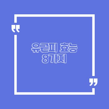 유근피 효능 8가지