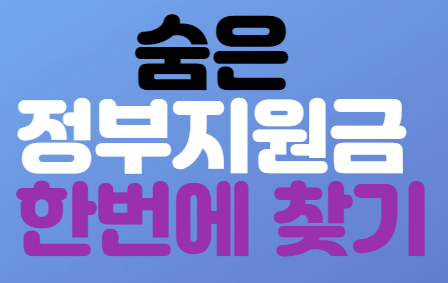 정부지원금